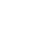 Yfactor
